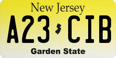 NJ license plate A23CIB