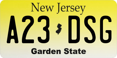 NJ license plate A23DSG