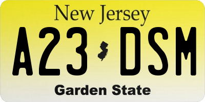 NJ license plate A23DSM