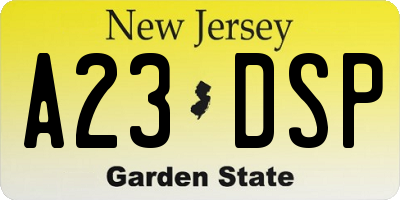 NJ license plate A23DSP
