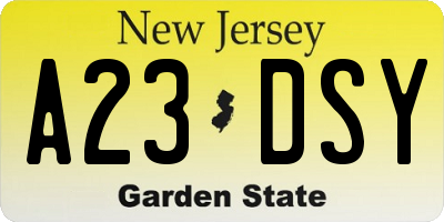 NJ license plate A23DSY