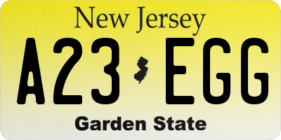 NJ license plate A23EGG