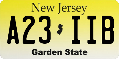 NJ license plate A23IIB