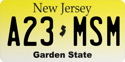 NJ license plate A23MSM