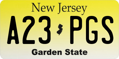 NJ license plate A23PGS