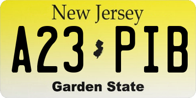 NJ license plate A23PIB
