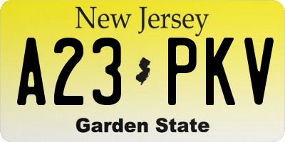 NJ license plate A23PKV