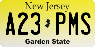 NJ license plate A23PMS