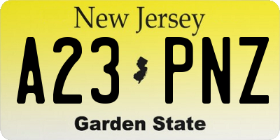 NJ license plate A23PNZ