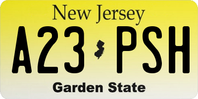 NJ license plate A23PSH