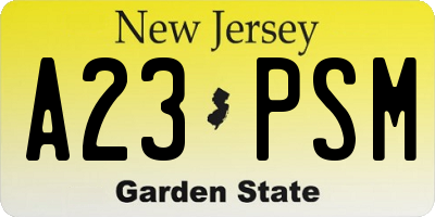 NJ license plate A23PSM