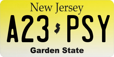 NJ license plate A23PSY