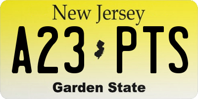 NJ license plate A23PTS