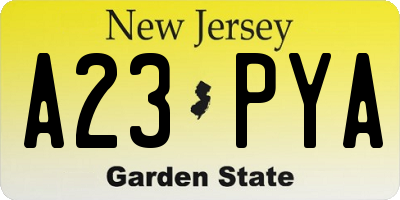 NJ license plate A23PYA