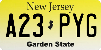 NJ license plate A23PYG