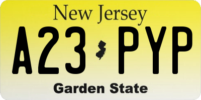NJ license plate A23PYP