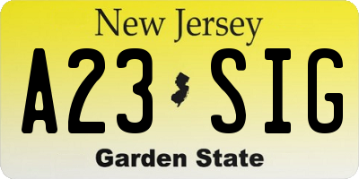 NJ license plate A23SIG