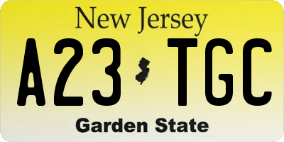 NJ license plate A23TGC