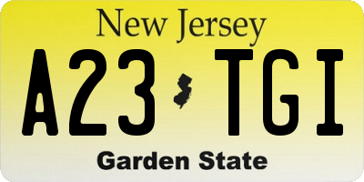 NJ license plate A23TGI