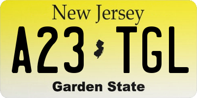 NJ license plate A23TGL