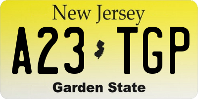 NJ license plate A23TGP