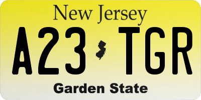 NJ license plate A23TGR