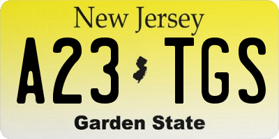 NJ license plate A23TGS