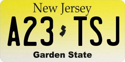 NJ license plate A23TSJ