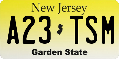 NJ license plate A23TSM