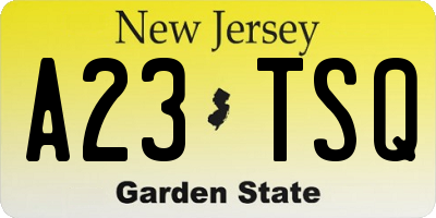 NJ license plate A23TSQ