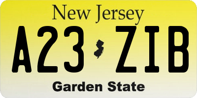 NJ license plate A23ZIB