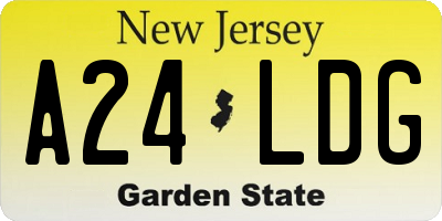 NJ license plate A24LDG