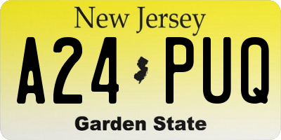 NJ license plate A24PUQ
