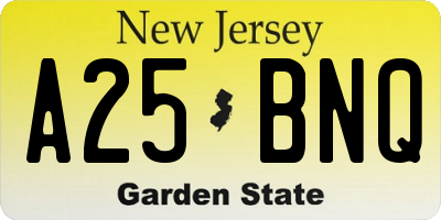 NJ license plate A25BNQ