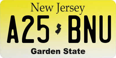 NJ license plate A25BNU