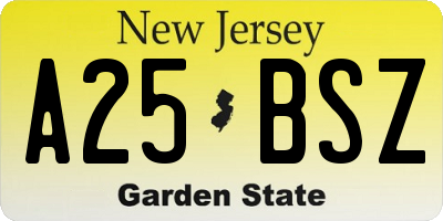 NJ license plate A25BSZ