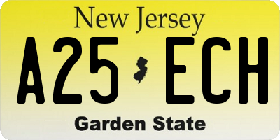 NJ license plate A25ECH
