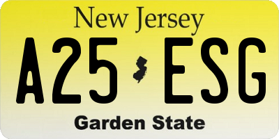 NJ license plate A25ESG