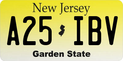 NJ license plate A25IBV