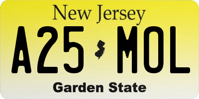 NJ license plate A25MOL