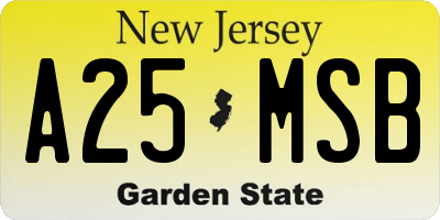 NJ license plate A25MSB