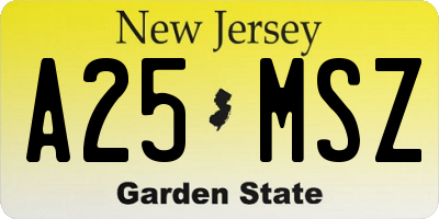NJ license plate A25MSZ