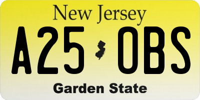 NJ license plate A25OBS