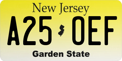 NJ license plate A25OEF