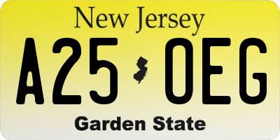 NJ license plate A25OEG