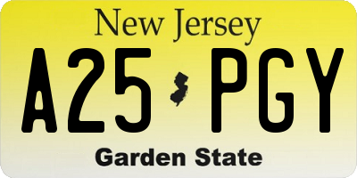NJ license plate A25PGY