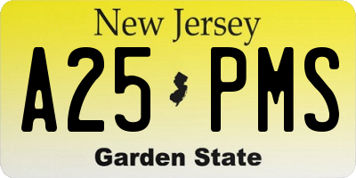 NJ license plate A25PMS