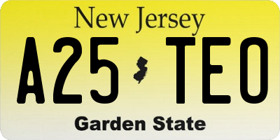 NJ license plate A25TEO