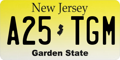 NJ license plate A25TGM