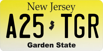 NJ license plate A25TGR